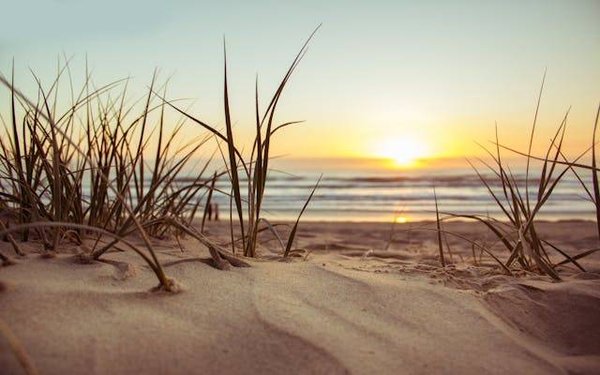 Séjour à Marseillan dans un camping avec accès direct à la plage