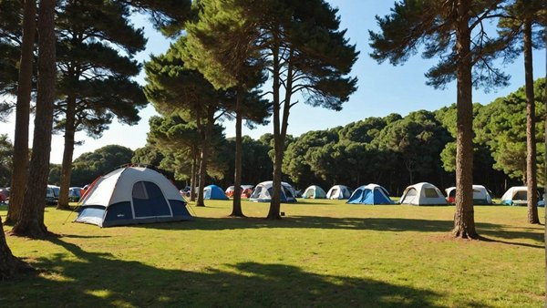 Découvrez le camping familial idéal à bidart près de la plage