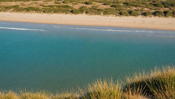 Le naturisme en vendée : une immersion en pleine nature